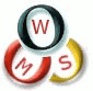 WMS Consultant